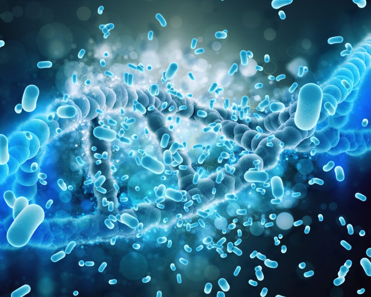 Decoding Probiotics: Key Allies for Digestive Health